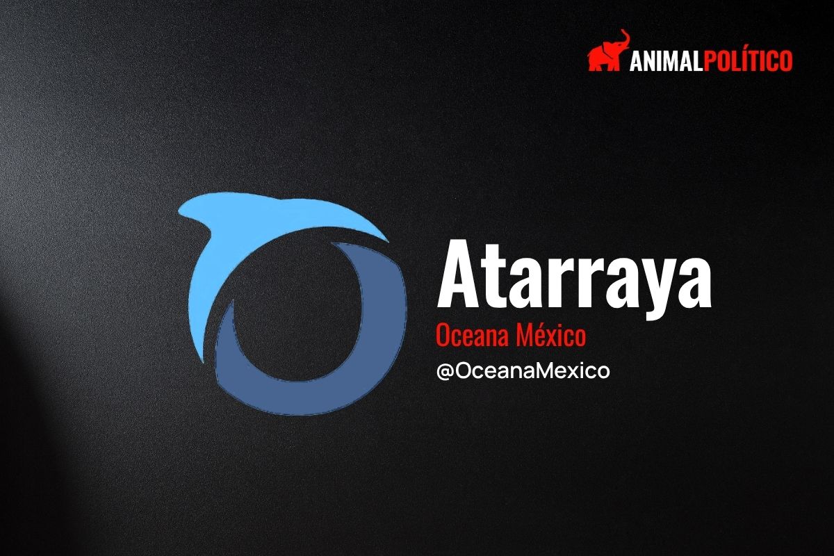 El pez león invade mares mexicanos