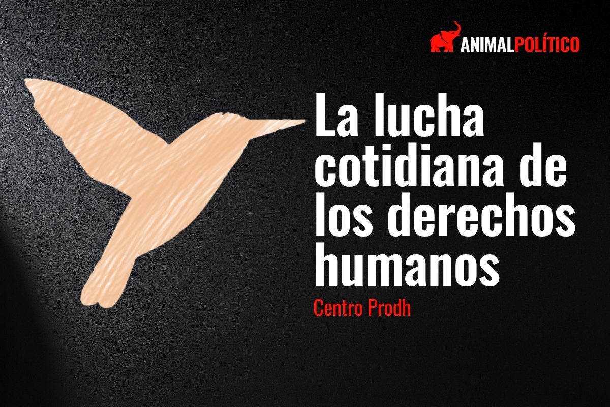 Buscarlas a todas: la crisis de desaparición de niñas y mujeres en México