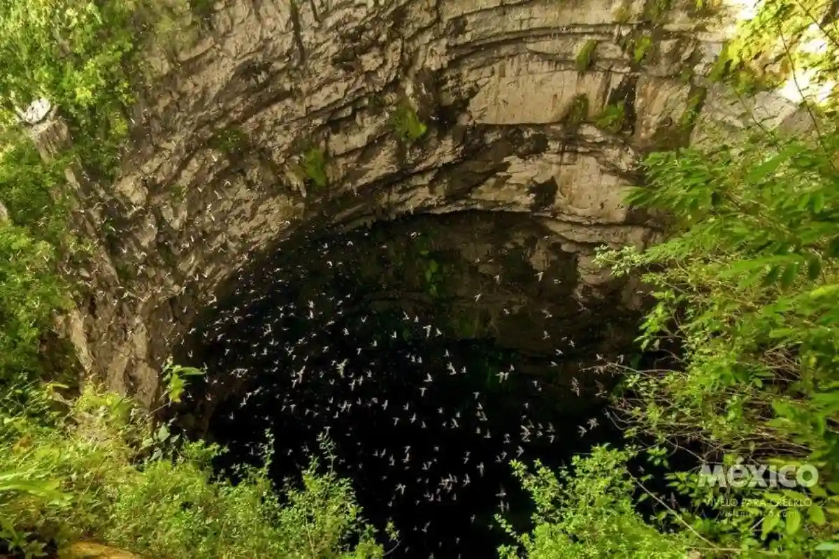 sotano de las golondrinas san luis potosi