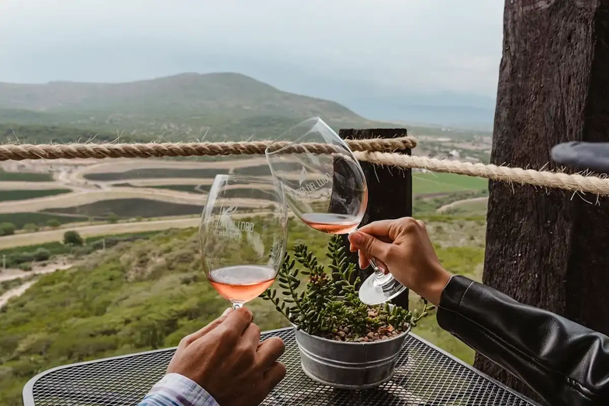brindis con vistas panorámicas de los viñedos queretanos