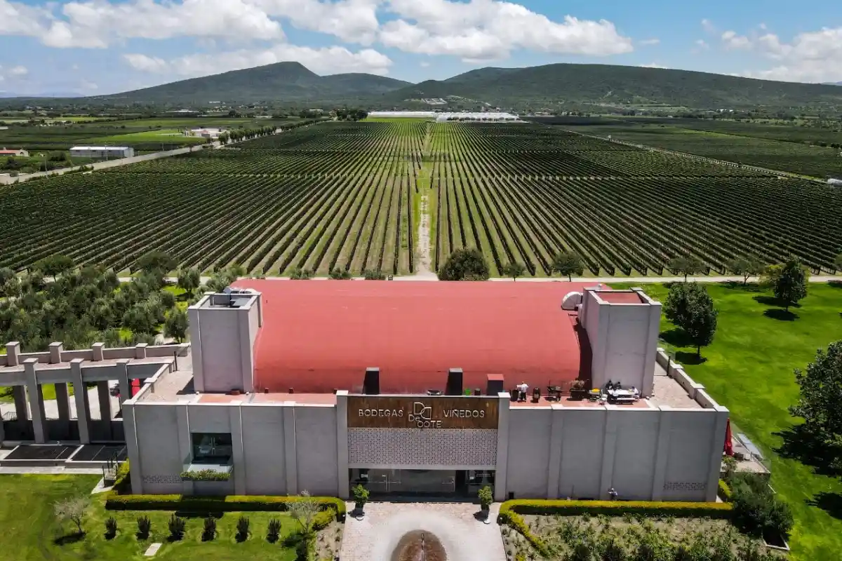 bodega del viñedo De cote en Querétaro