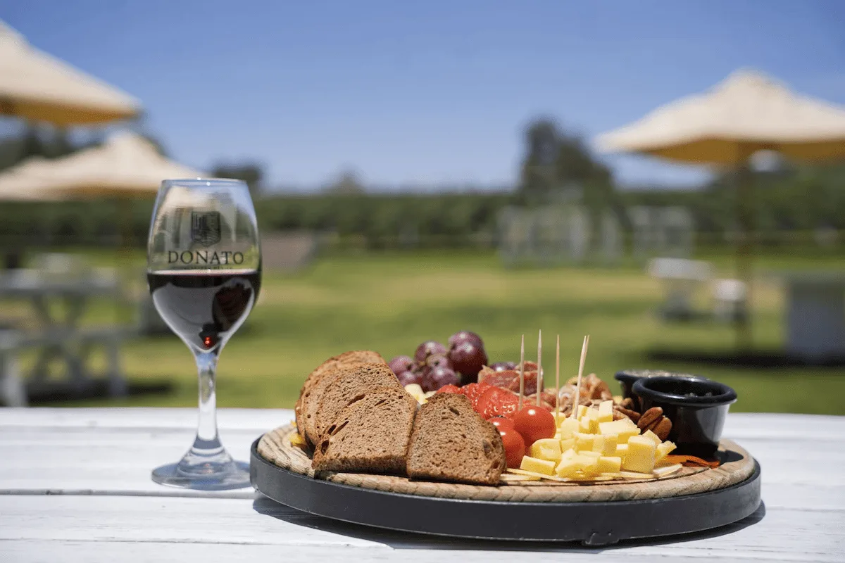 tabla de quesos y copa de vino al aire libre