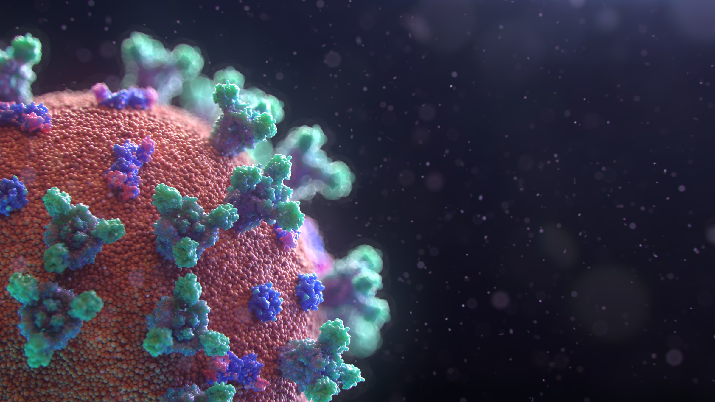 Esta es la forma en que el nuevo coronavirus se adhiere a los pulmones