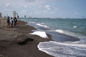 En conclusión, la fotografía está sacada de contexto porque circula desde noviembre de 2019 cuando una página de Facebook local la utilizó para ilustrar sobre el cierre de al menos ocho kilómetros de playas de la costa del municipio de Paraíso, Tabasco por el arribo de hidrocarburo en esa misma fecha y no corresponde al reciente derrame de hidrocarburos en el Golfo de México.
Suscríbete a nuestro canal de WhatsApp y entérate todos los días de la desinformación que circula en redes, en el discurso político y en la vida cotidiana.
Un delfín en estado de descomposición fue hallado en las playas de la Riviera veracruzana donde llegaron elementos de Protección Civil. Este mamífero marino es uno de varios otros que han sido reportados muertos presuntamente por la gran contaminación de hidrocarburo que se observa a lo largo de la costa del Golfo de México.
Foto: Cuartoscuro