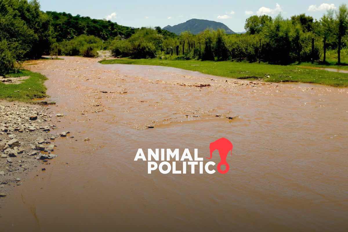 Comités de Cuenca Río Sonora llevan su caso ante la UE; exigen derecho a la salud por derrame tóxico