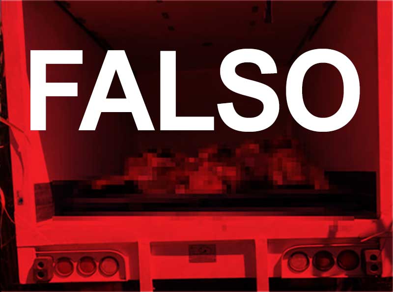 Falso que hayan asesinado a mujer que denunció supuesto secuestro de niños en un camión