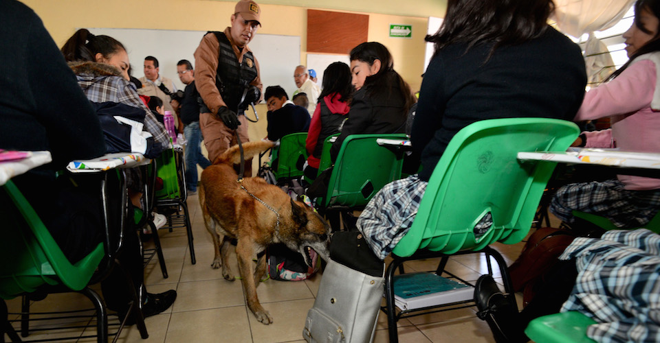 'Mochila segura' viola derechos, pero opera desde 2001 hasta con policías