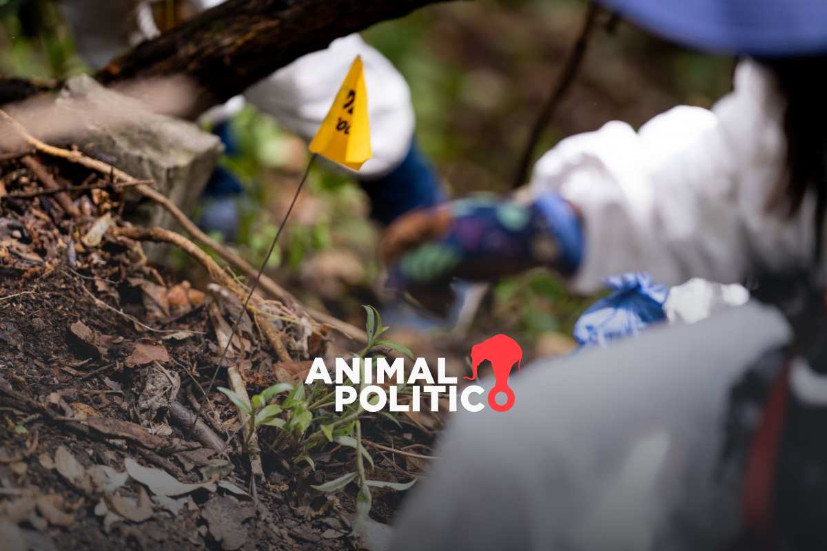 2025 cierra con 2 mil personas desaparecidas en CDMX; avanza análisis de hallazgos en GAM y Ajusco