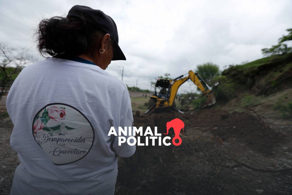 26 buscadoras han sido asesinadas o desaparecidas desde 2011; Guanajuato y Sonora los más peligrosos