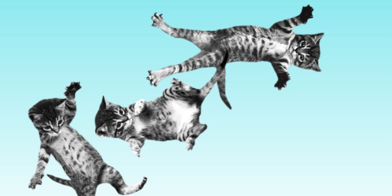 Sitios chidos de Internet para *perder el tiempo*… porque también los necesitamos en nuestras vidas