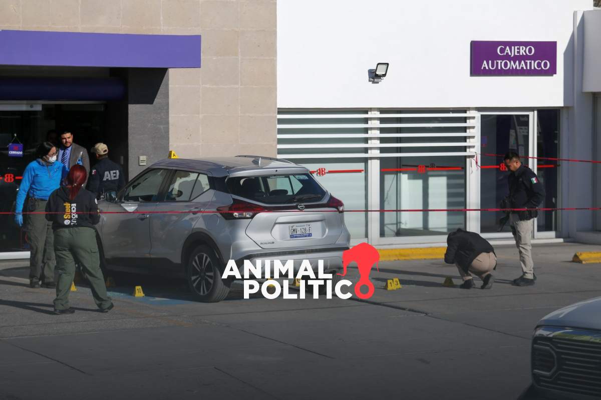 35 masacres en Guanajuato en 2025 alerta Causa en Común; gobierno presume baja en homicidios 