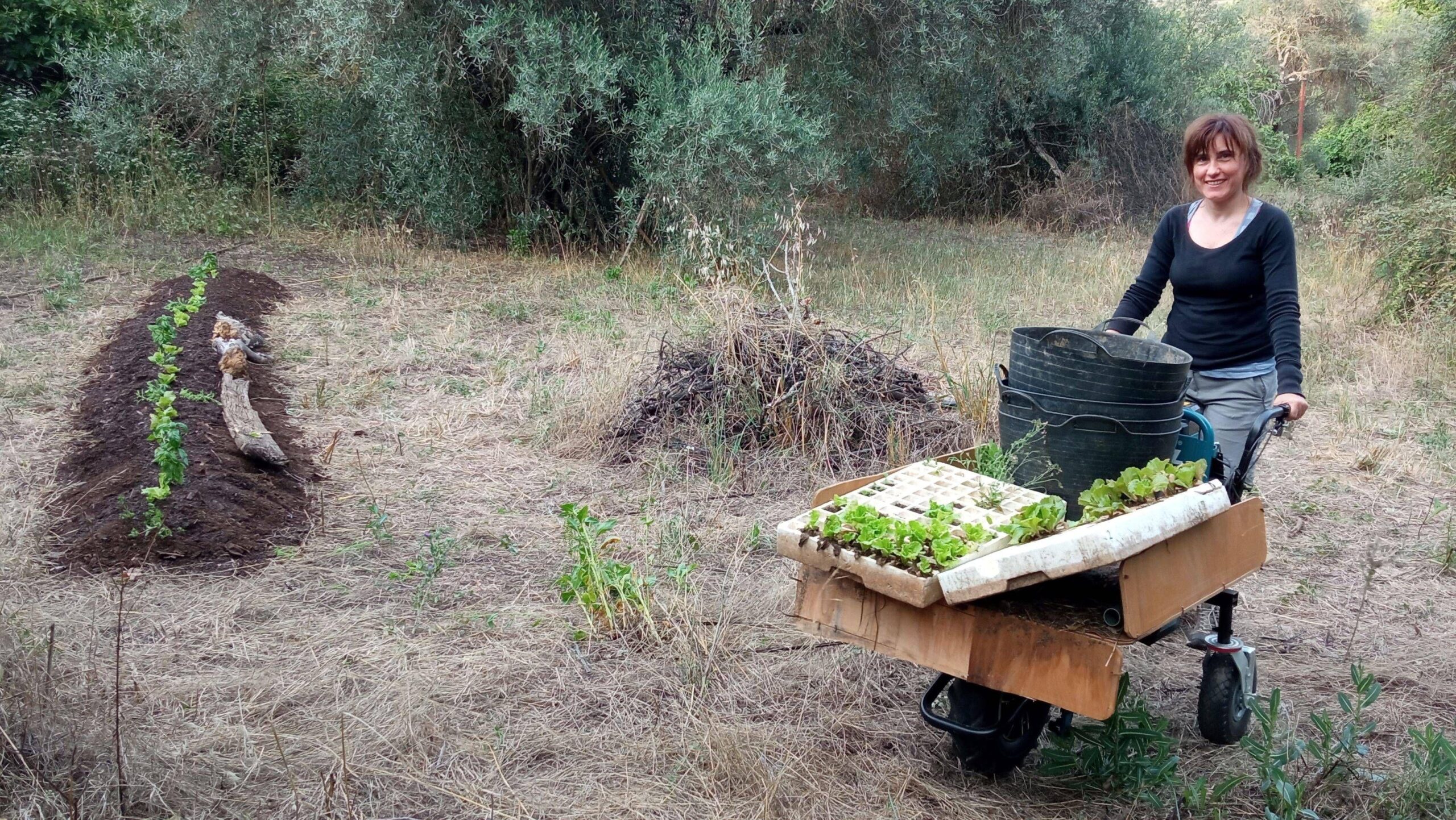 “Neorrurales”: jóvenes españoles abandonaron las ciudades para asentarse en el campo escapando de los altos precios de vivienda