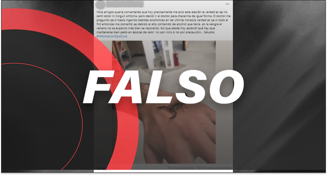 No, tomar cerveza no reduce el riesgo de morir por una picadura de alacrán