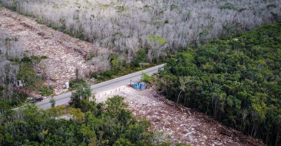 ¿Dónde estaban?: Semarnat cuestiona a críticos del Tren Maya