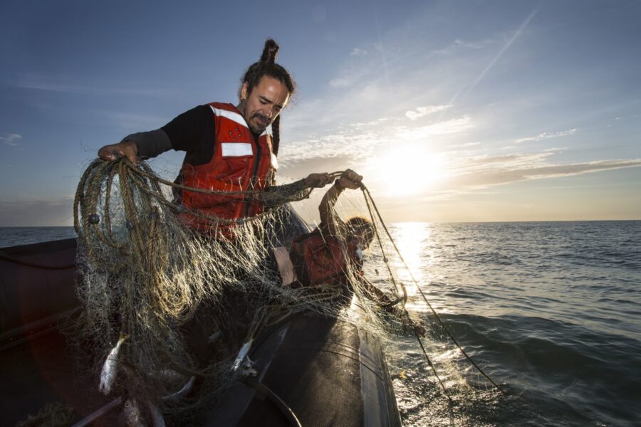 Convención de Especies Amenazadas sanciona a México por no proteger a la vaquita marina