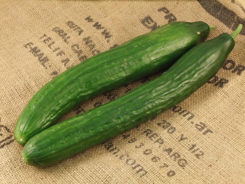 Cinco recetas para transformar el pepino en más que una simple ensalada