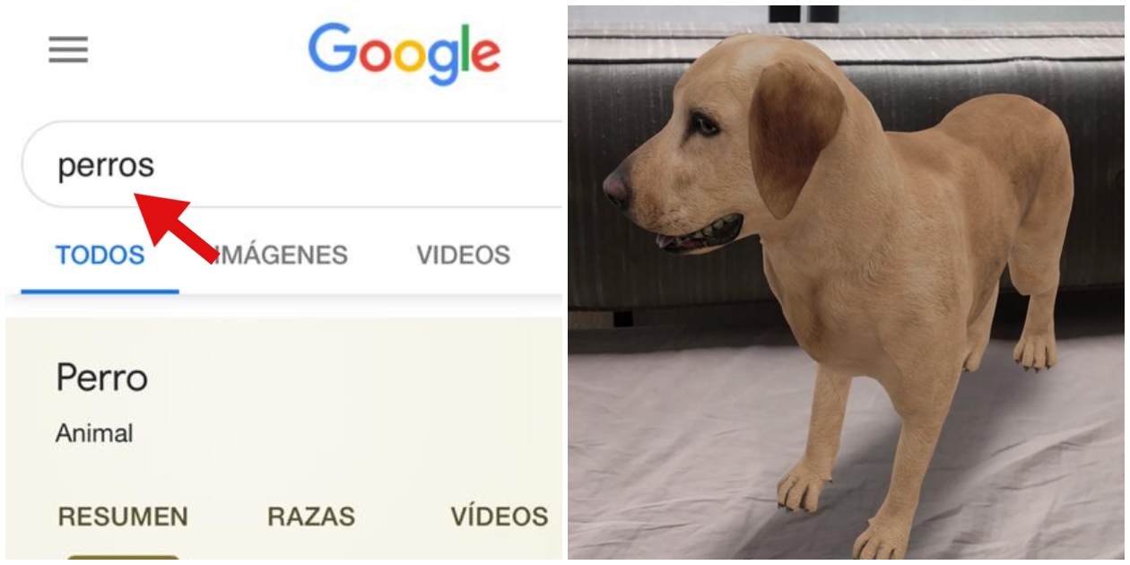 Así puedes ver *los animales en 3D desde el buscador de Google* y tener una foto con tu favorito