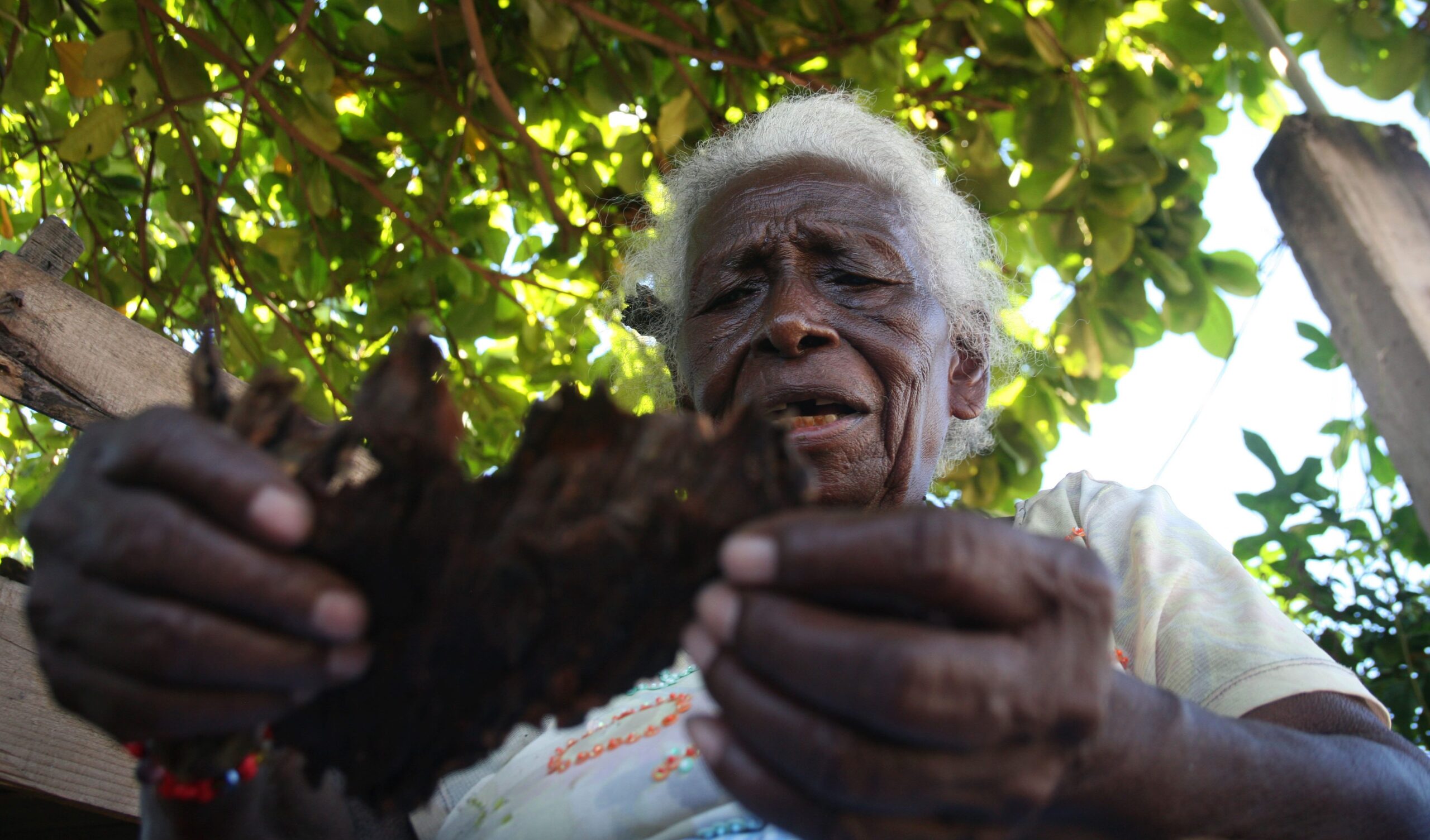 Del humo ritual al humo prohibido