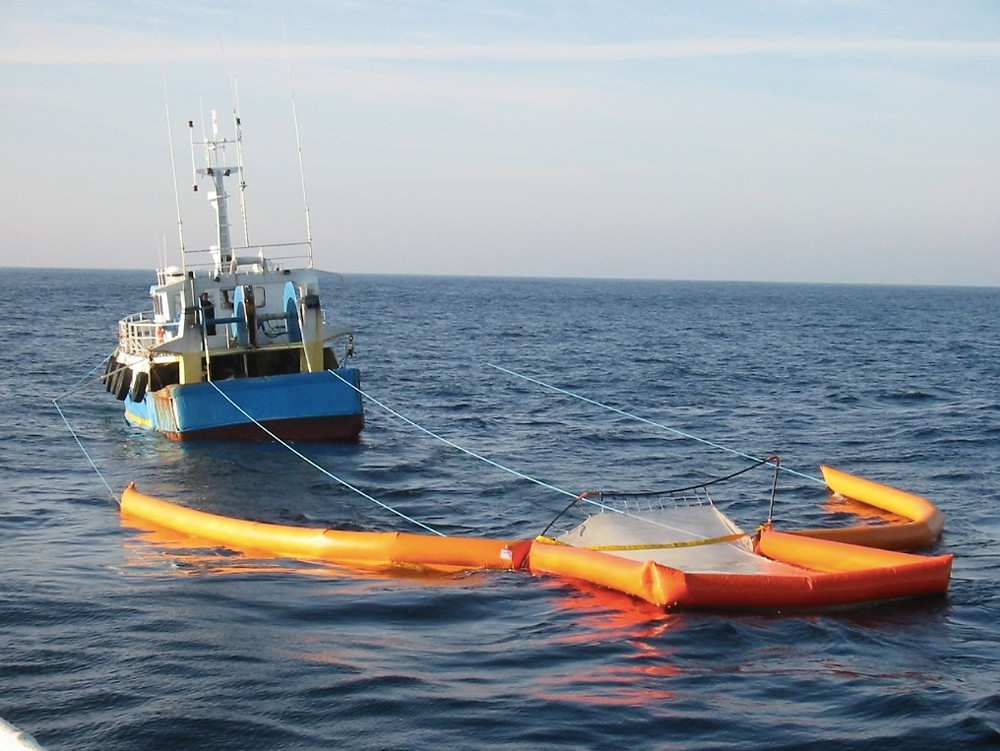 Golpean a ‘piratería’ marítima; decomisan en BC especies que iban a Asia