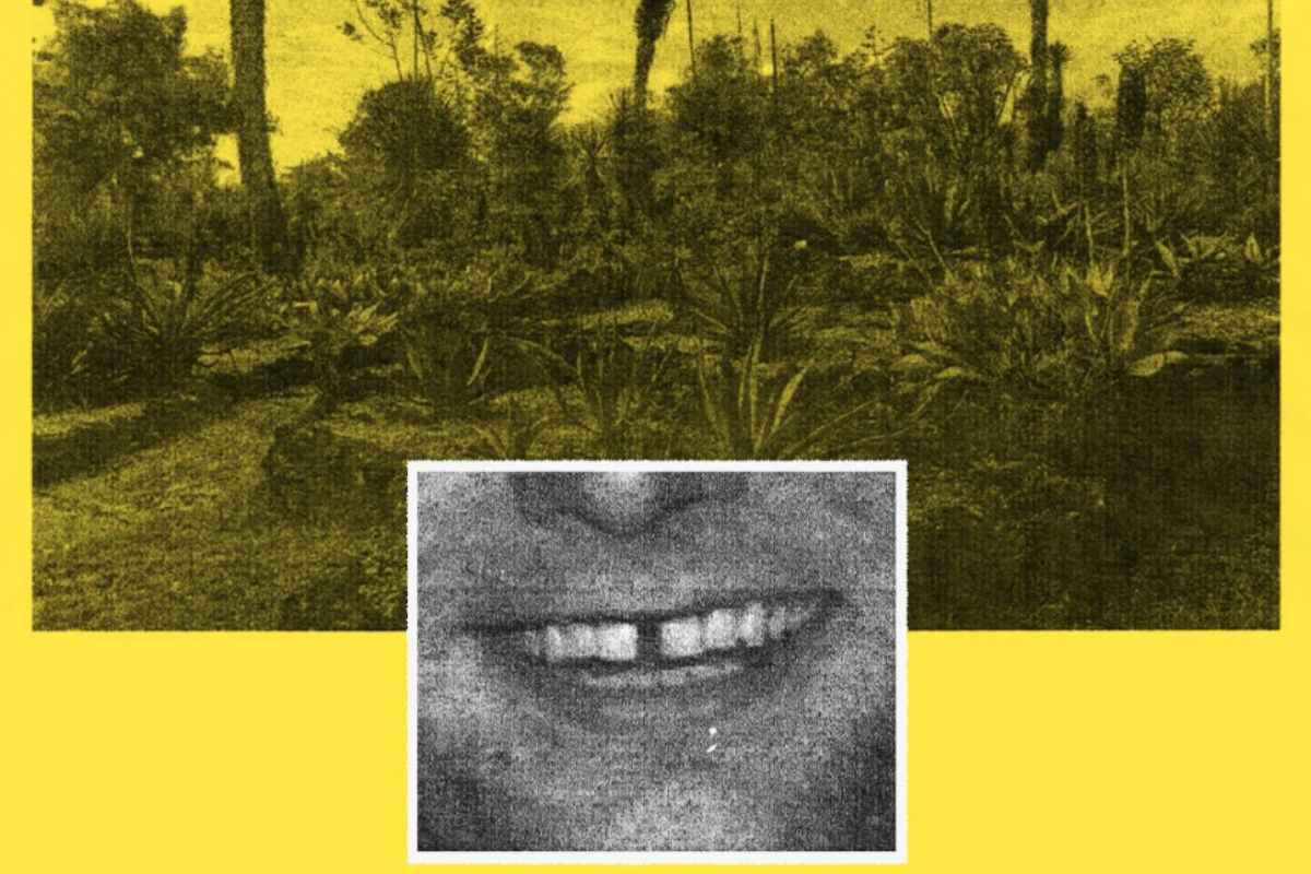 ¡Sorpresota! Mac DeMarco regresa a México: fechas, boletos y más