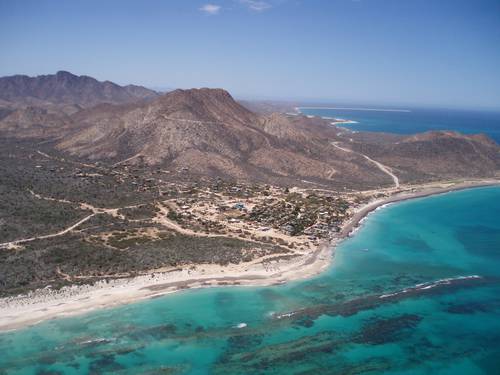 OSCs y científicos alertan sobre “Cabo Dorado”, nueva amenaza al arrecife de Cabo Pulmo