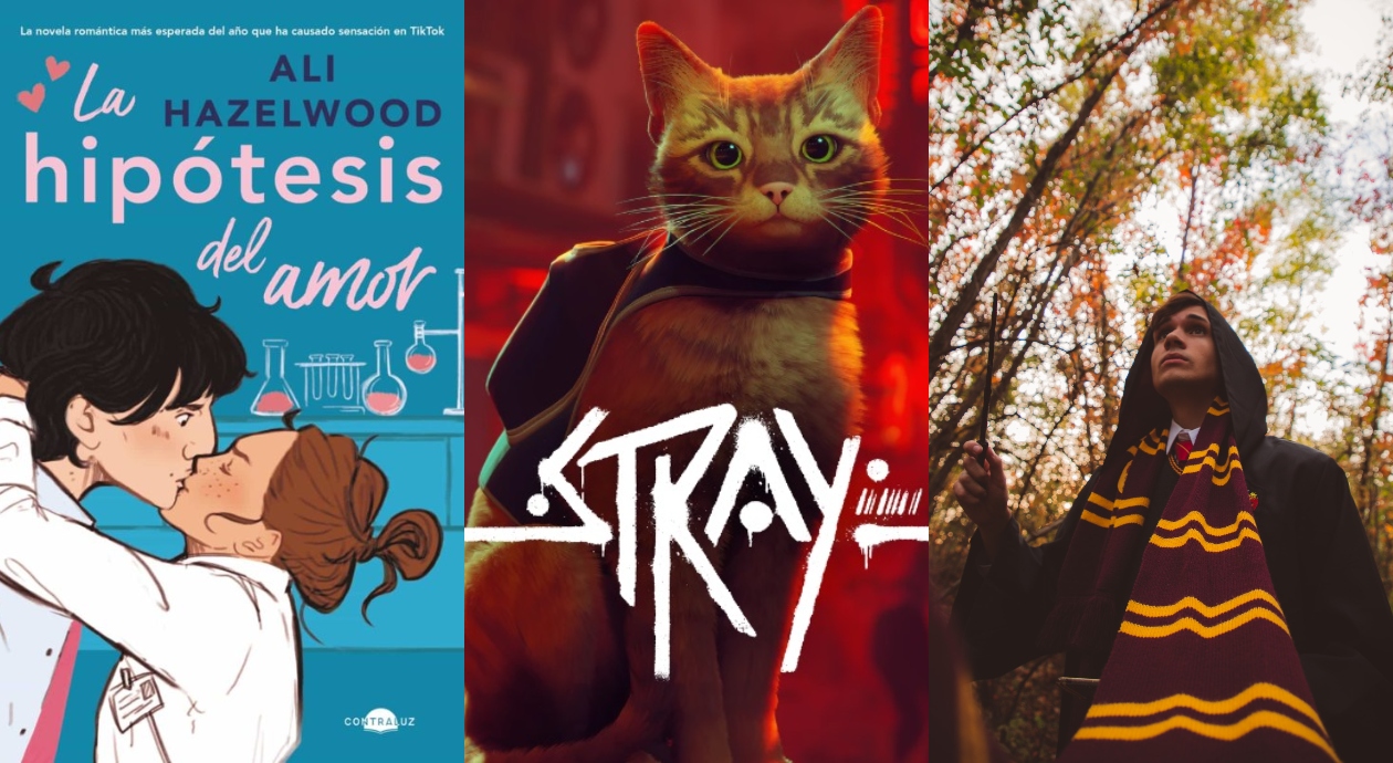 *Una historia de amor, un gatito valiente y Harry Potter en CDMX*: las recomendaciones del finde