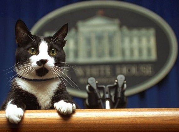 10 grandes personajes y sus gatos