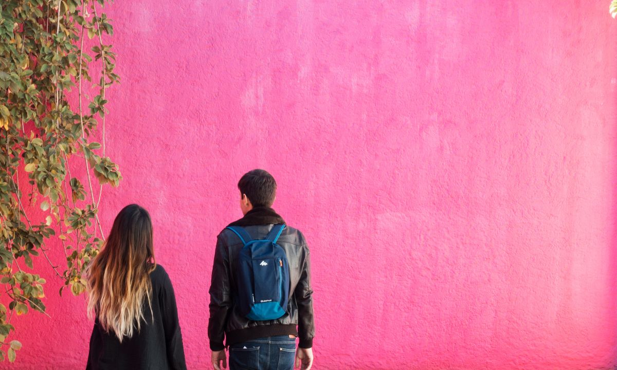 *La curiosa historia del 'rosa mexicano'*: cuál es su origen y quién lo bautizó así