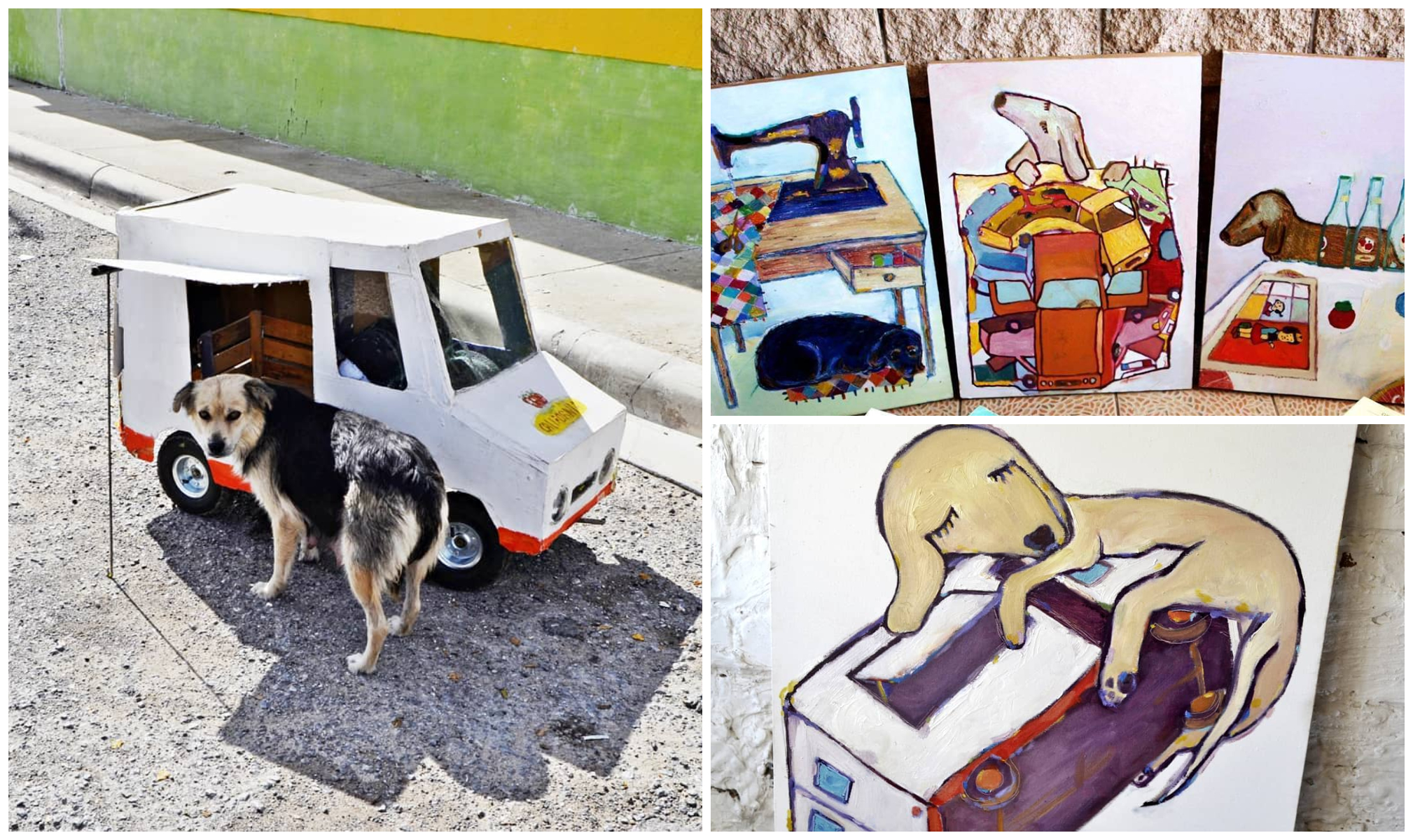 Perros con suéter: un proyecto que *alimenta a perritos sin casa*