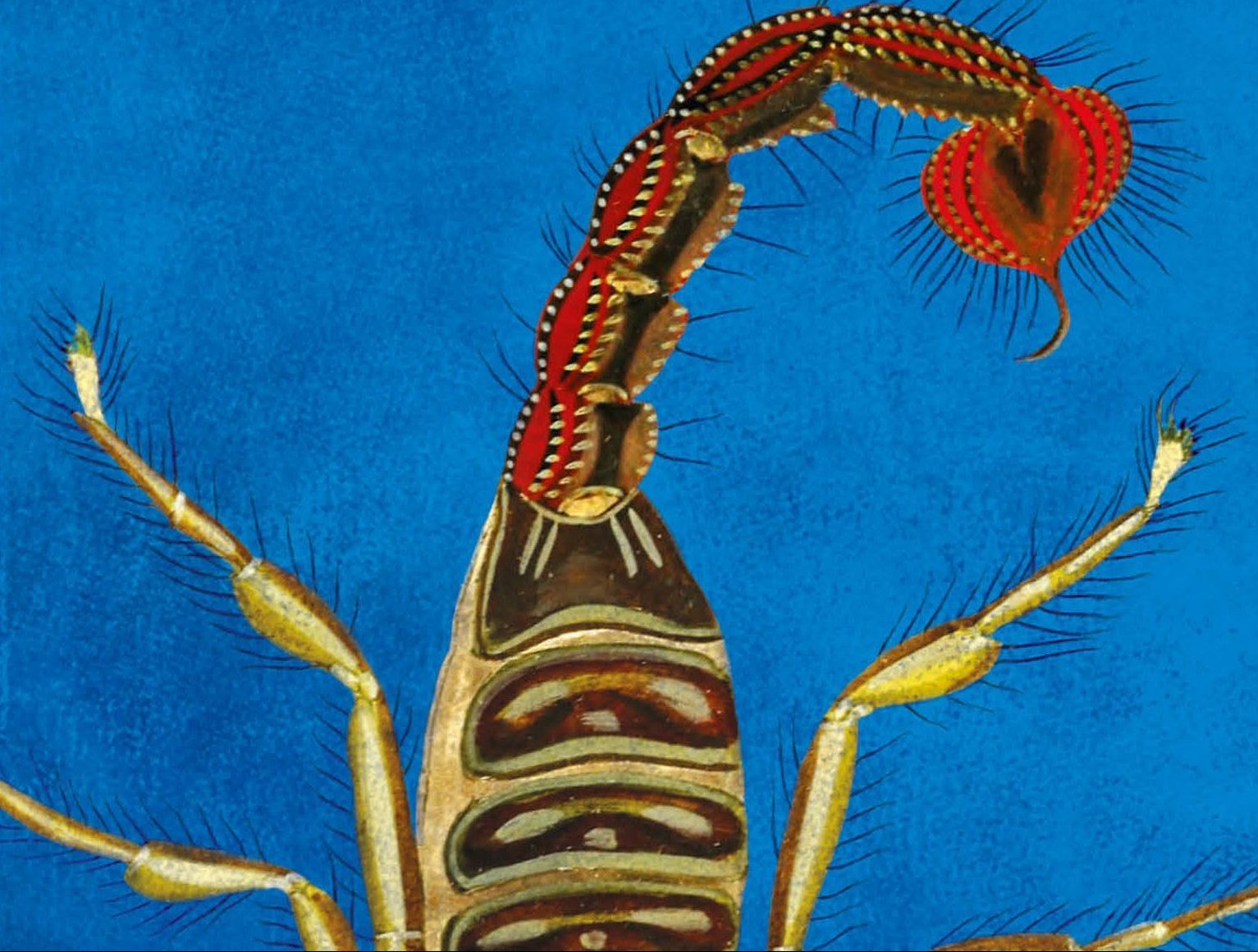 Nudo de Alacranes: la confesión de un feminicidio (capítulo de regalo)