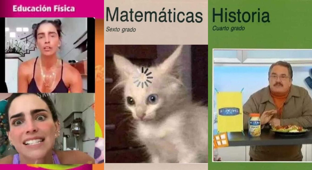 *Anticonvocatoria de la SEP, la protesta con memes* contra la falta de pago