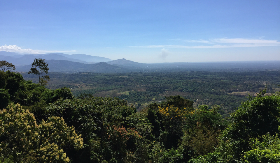 Sin autorización ambiental, mineras explotaron tierras protegidas de Chiapas y contaminaron ríos