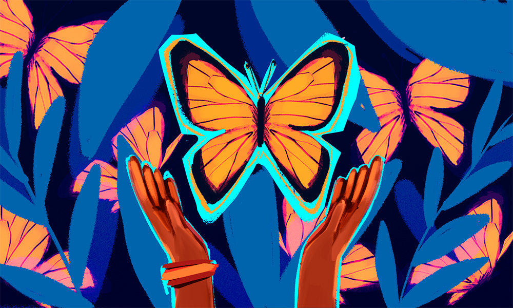 La mariposa monarca y sus santuarios: ¿dónde verla y cómo hacerlo de manera responsable?