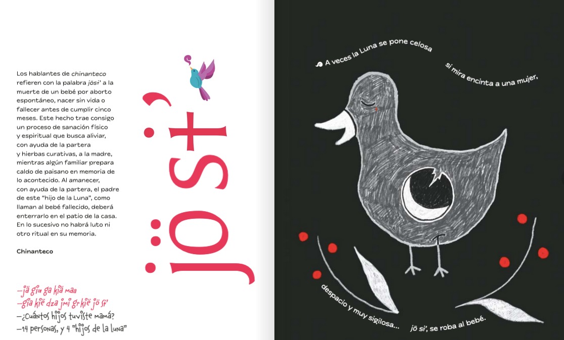 *'Intraducibles'*: el libro de palabras indígenas que nos muestra sus formas de concebir el mundo