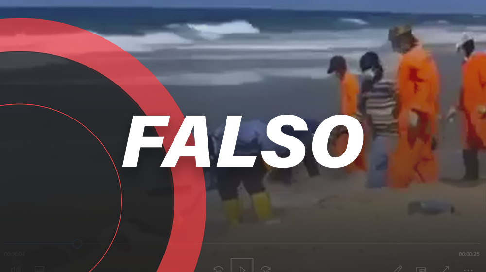 No, este video no muestra a ecuatorianos arrojar muertos al mar