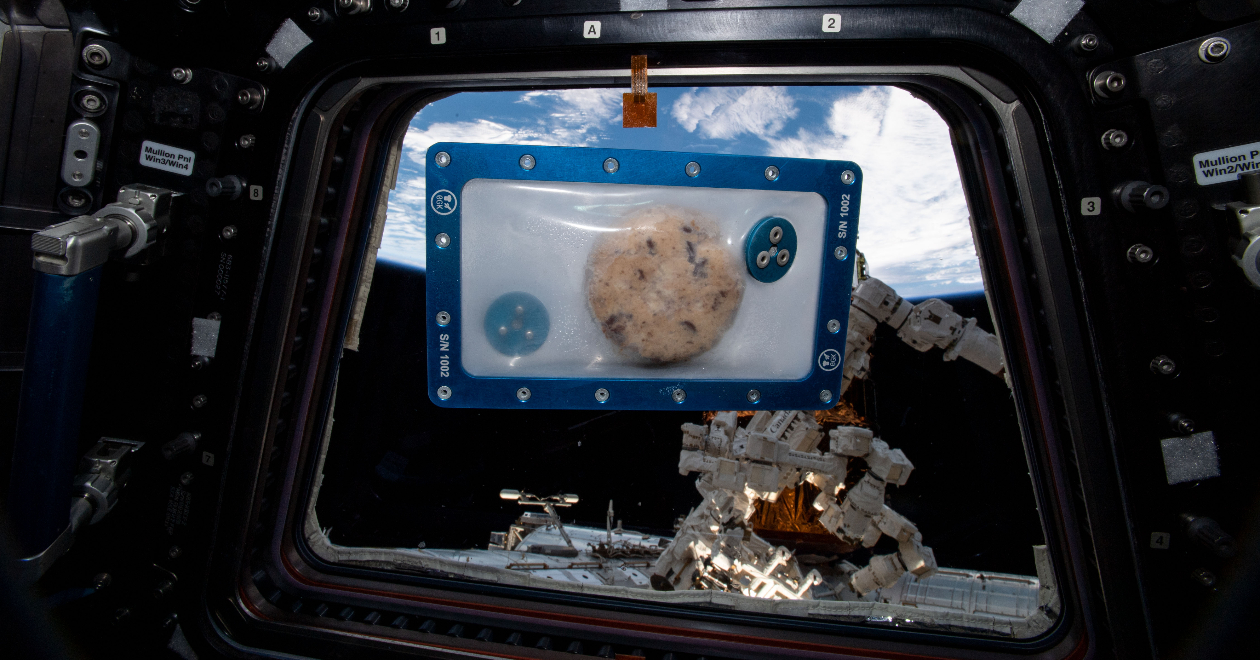 ¿*Galletas horneadas en el espacio*? ¡Sí! y acaban de llegar a la Tierra en una cápsula de Space X