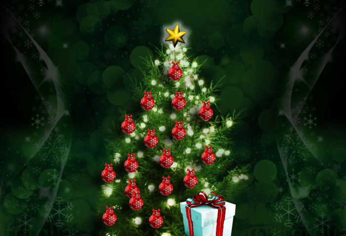 En esta Navidad, mejor un árbol vivo y rentado
