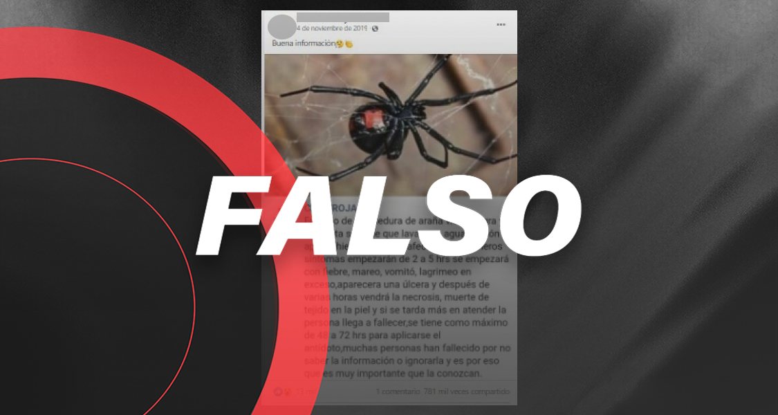 Esta publicación desinforma sobre cómo atender una picadura de araña