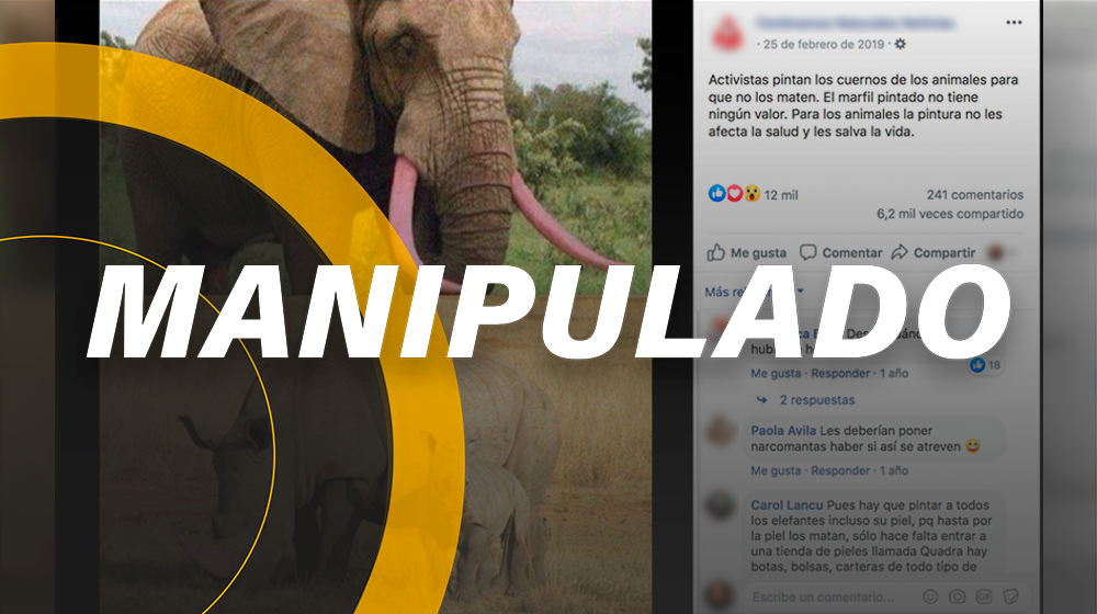 La foto de *elefantes y rinocerontes con colmillos y cuernos rosas* están manipuladas