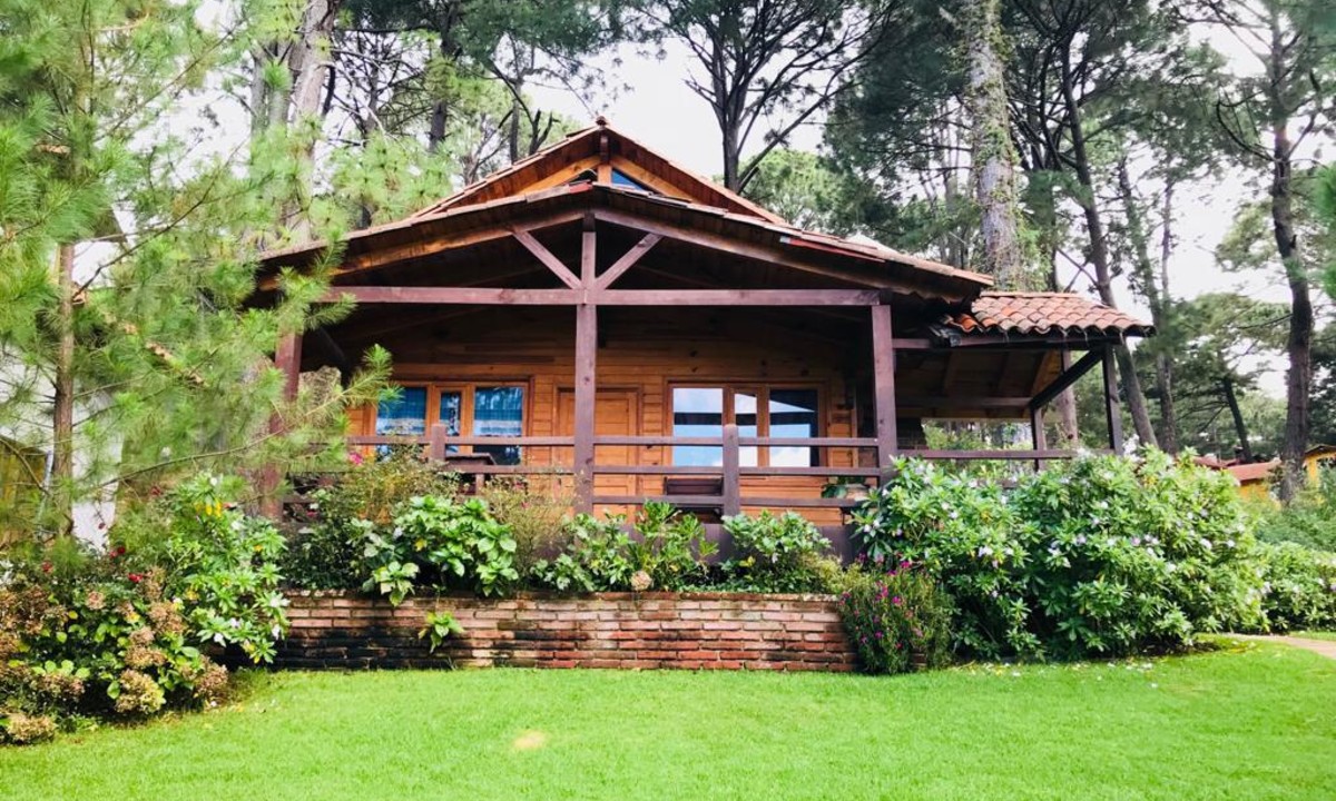 ¿Amas el frío? *Pasa un finde en el bosque* cerca de CDMX, Guadalajara, Monterrey o Pachuca