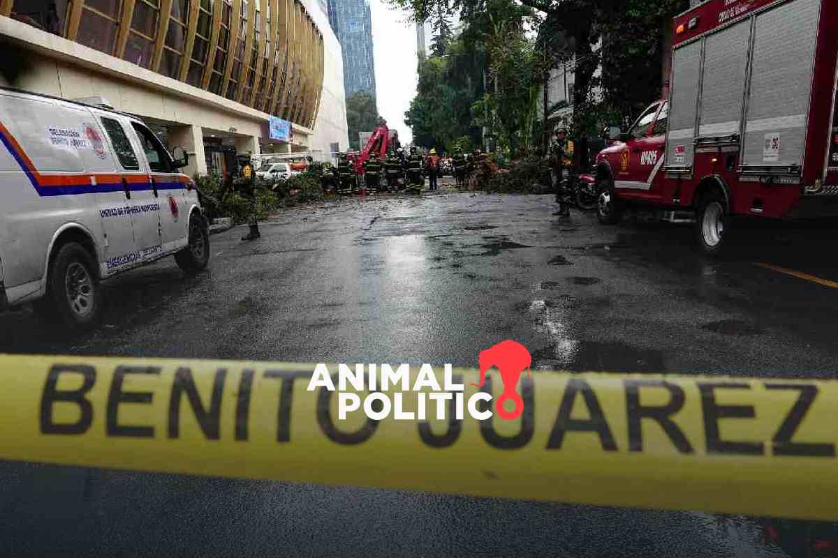 Rescatan a niño de un auto aplastado por un árbol en alcaldía Benito Juárez; su madre murió