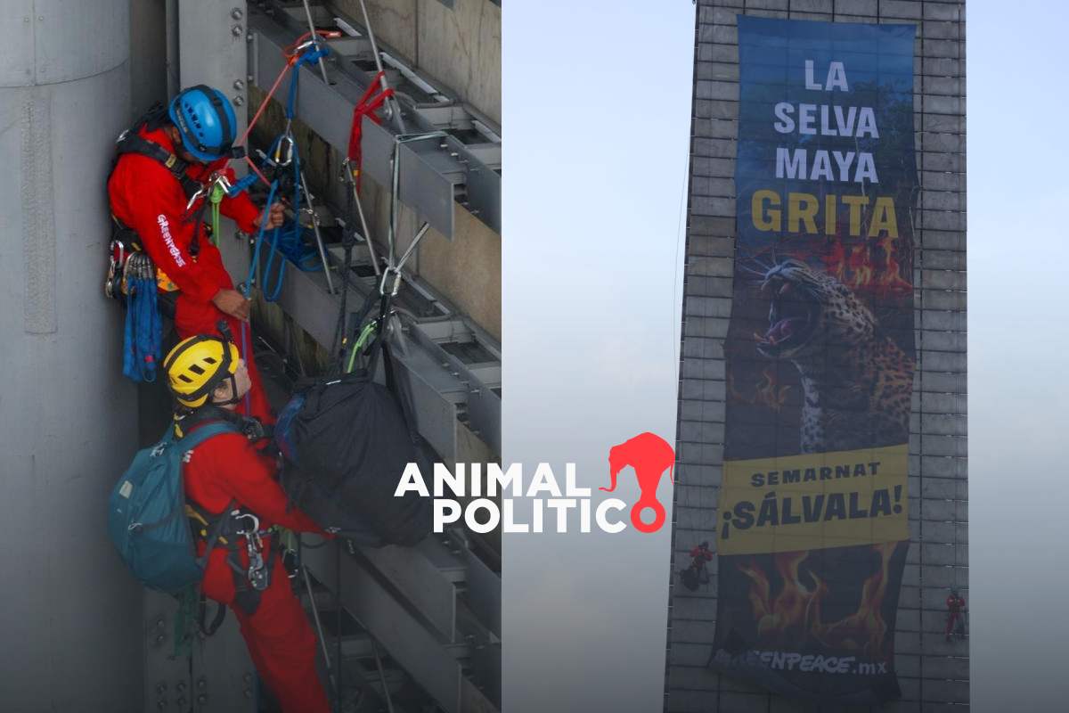Activistas de Greenpeace escalan la Estela de Luz para denunciar devastación de la Selva Maya