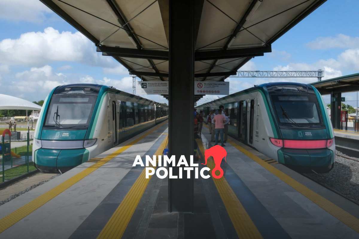 Activistas obtienen suspensión definitiva de tramos 5 y 7 del Tren Maya; "resulta tardía”, señalan