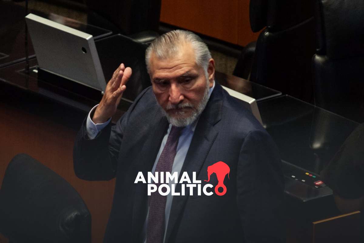 ¿Y dónde está Adán Augusto?; Morena cierra filas con su coordinador, oposición lo cuestiona 