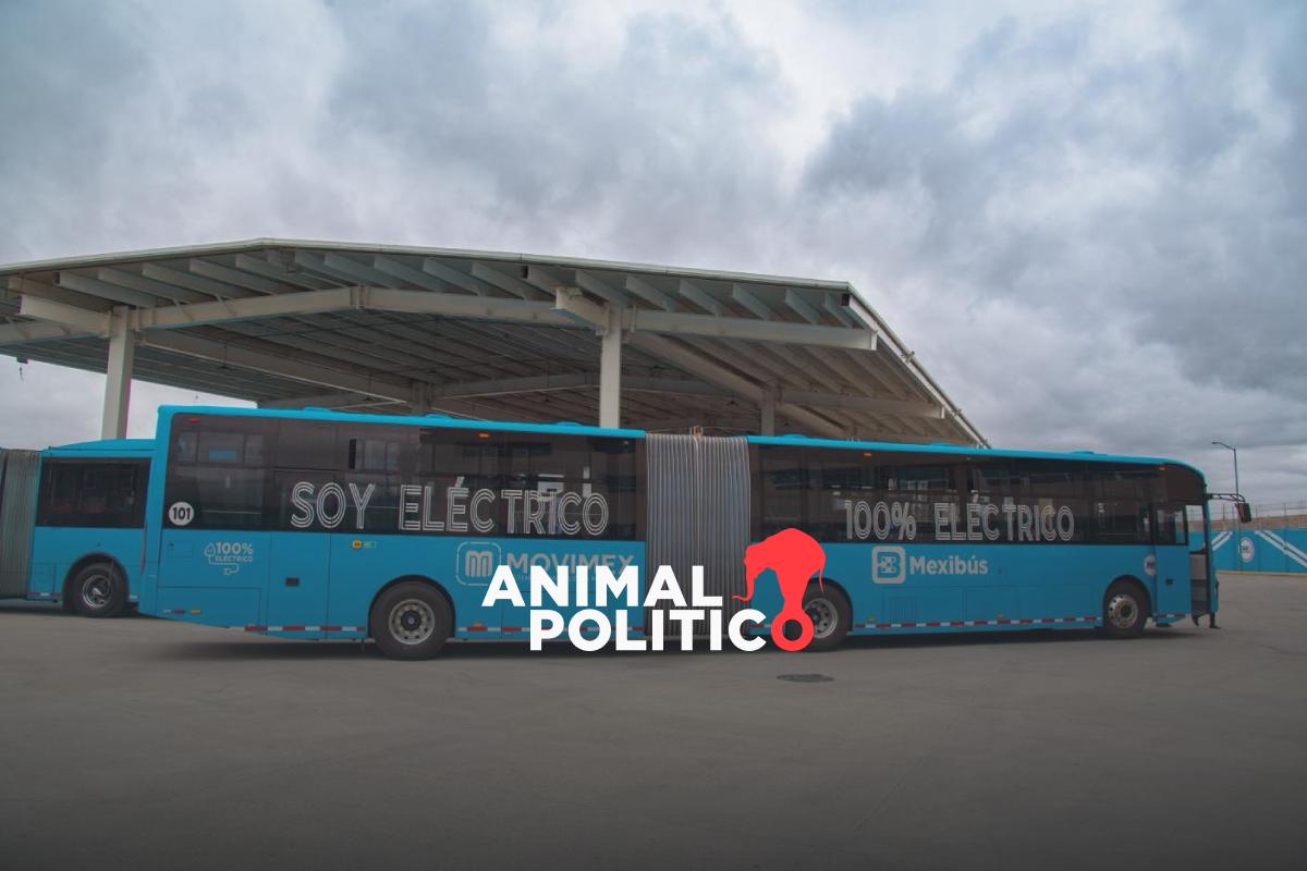 Adiós al tráfico: estas serán las estaciones de la nueva Línea 5 del Mexibús