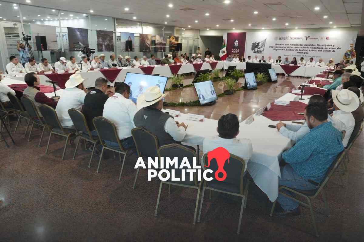 Agricultura refuerza acciones para contener avance de gusano barrenador en Tamaulipas y Veracruz