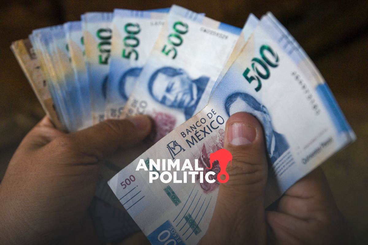 Aguinaldo 2024: ¿cuándo es la fecha límite para pagarlo y cómo se calcula?