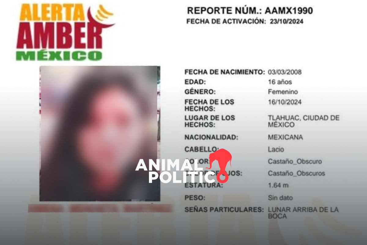 Alerta AMBER: qué es, qué se toma en cuenta para activarla y cómo reportar a un menor desaparecido