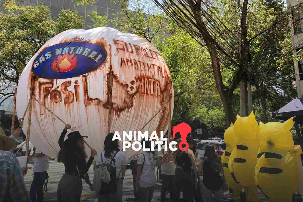 Organizaciones piden a ministros de medio ambiente una ruta climática sin combustibles fósiles