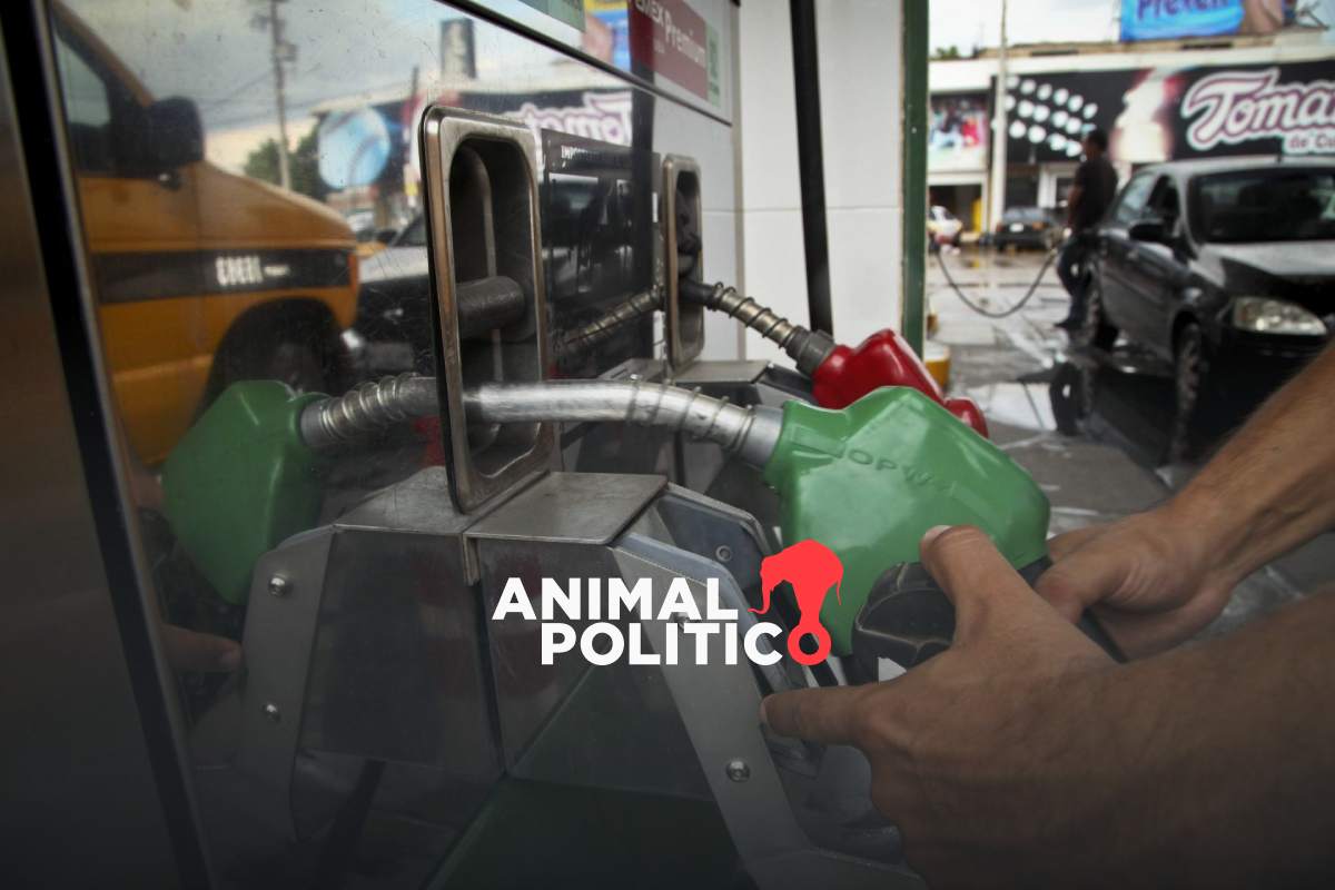 Aplicación Litro por Litro queda fuera de servicio; así puedes denunciar gasolineras ante Profeco